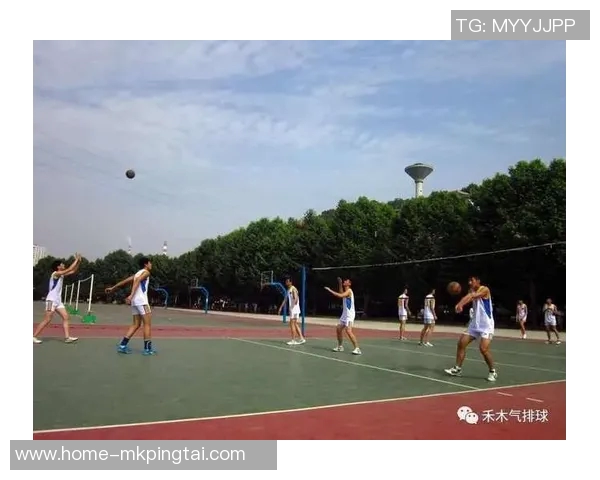 实时新闻深圳飞盘队快攻战术解析与实战应用探讨