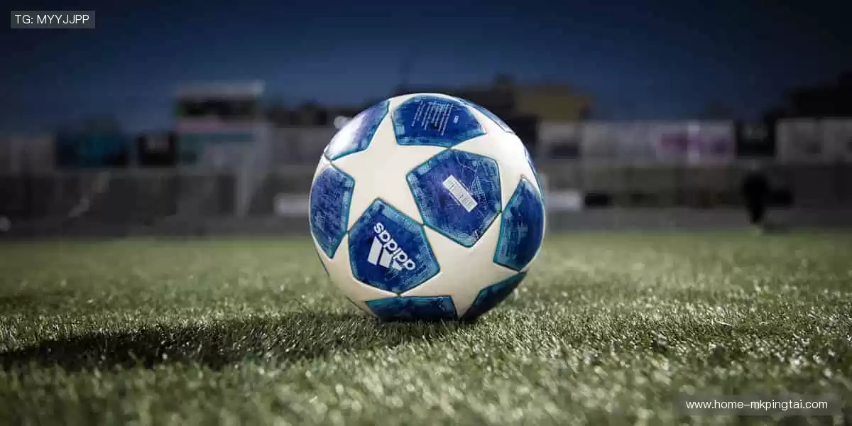 🏋️ 专业品质，助力每一次突破！💪